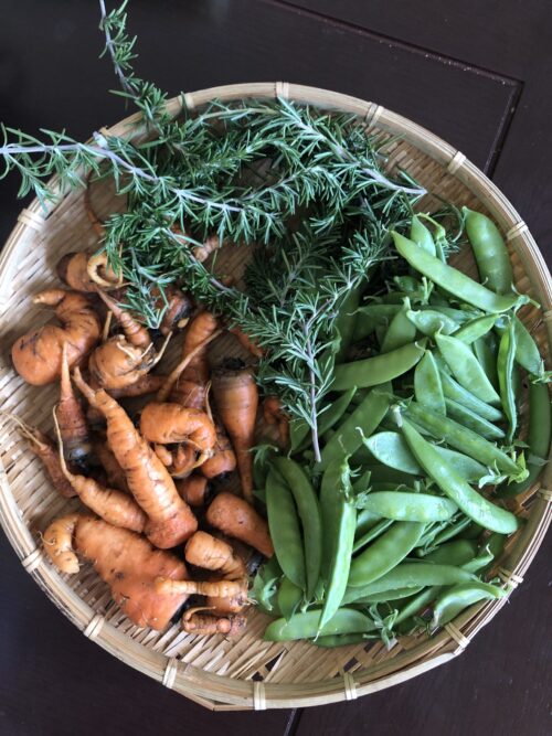 地元の食材