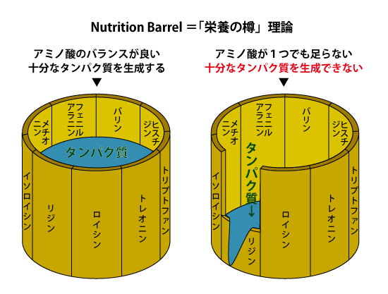 Nutrition Barrel