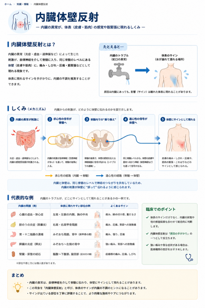 「内臓体壁反射とは」説明図